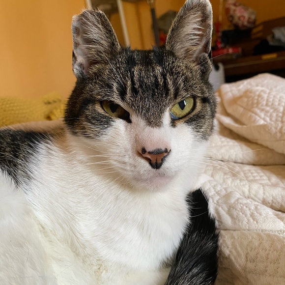 Meet your posher, Desiree 🦋 - Picture 6 of 16